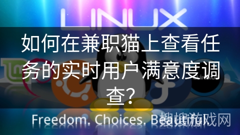如何在兼职猫上查看任务的实时用户满意度调查？