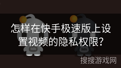 怎样在快手极速版上设置视频的隐私权限？