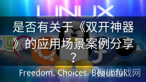 是否有关于《双开神器》的应用场景案例分享？