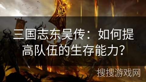 三国志东吴传：如何提高队伍的生存能力？