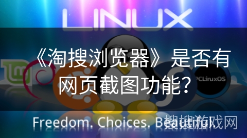 《淘搜浏览器》是否有网页截图功能？
