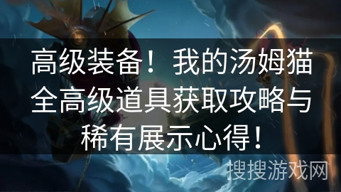 高级装备！我的汤姆猫全高级道具获取攻略与稀有展示心得！