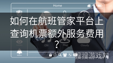 如何在航班管家平台上查询机票额外服务费用？
