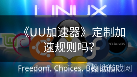 《UU加速器》定制加速规则吗？