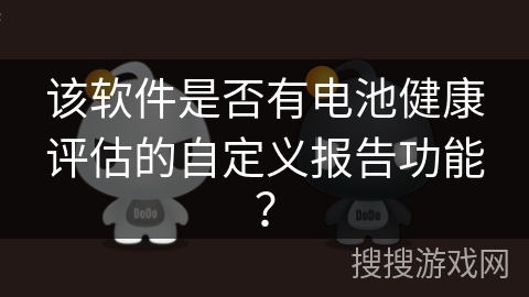 该软件是否有电池健康评估的自定义报告功能？