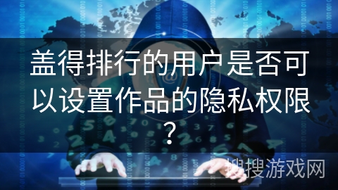 盖得排行的用户是否可以设置作品的隐私权限？