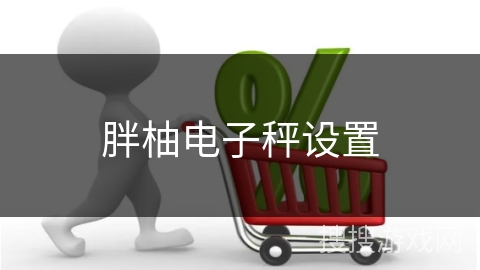胖柚电子秤设置