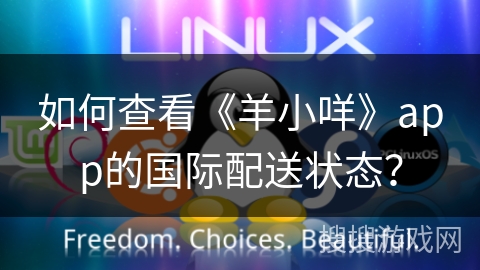 如何查看《羊小咩》app的国际配送状态？