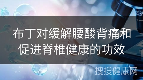 布丁对缓解腰酸背痛和促进脊椎健康的功效