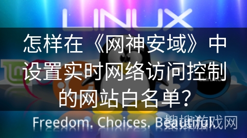 怎样在《网神安域》中设置实时网络访问控制的网站白名单？