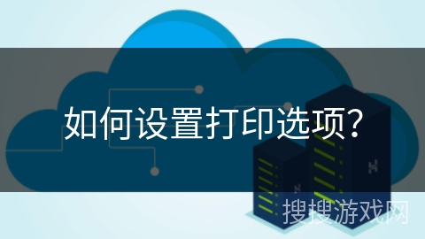 如何设置打印选项？