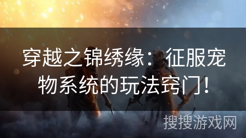 穿越之锦绣缘:征服宠物系统的玩法窍门! 穿越之锦绣缘:征服宠物系统的玩法窍门!