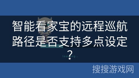 智能看家宝的远程巡航路径是否支持多点设定？