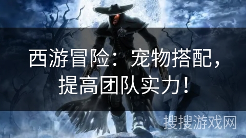 西游冒险：宠物搭配，提高团队实力！