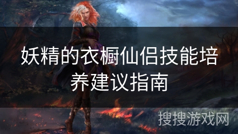 妖精的衣橱仙侣技能培养建议指南