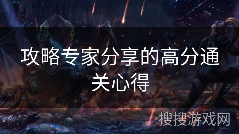 攻略专家分享的高分通关心得