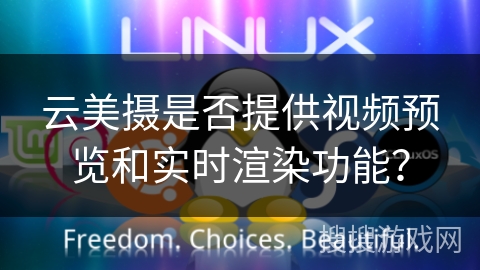 云美摄是否提供视频预览和实时渲染功能？