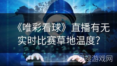《唯彩看球》直播有无实时比赛草地温度？