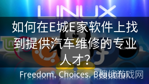 如何在E城E家软件上找到提供汽车维修的专业人才？