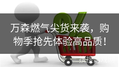万森燃气尖货来袭，购物季抢先体验高品质！