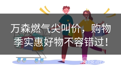 万森燃气尖叫价，购物季实惠好物不容错过！