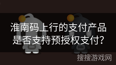 淮南码上行的支付产品是否支持预授权支付？