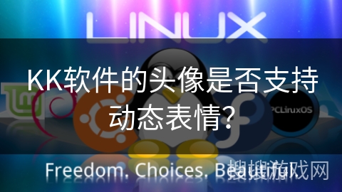 KK软件的头像是否支持动态表情？