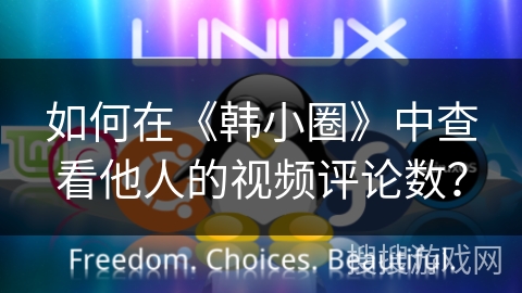 如何在《韩小圈》中查看他人的视频评论数？