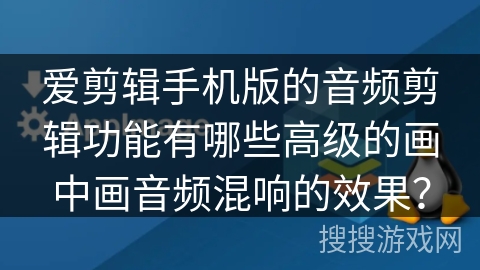 爱剪辑手机版的音频剪辑功能有哪些高级的画中画音频混响的效果？