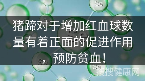 猪蹄对于增加红血球数量有着正面的促进作用，预防贫血！