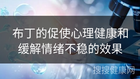 布丁的促使心理健康和缓解情绪不稳的效果