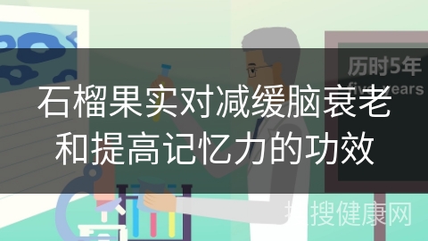 石榴果实对减缓脑衰老和提高记忆力的功效