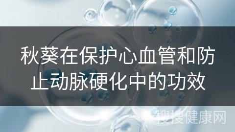 秋葵在保护心血管和防止动脉硬化中的功效