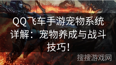 QQ飞车手游宠物系统详解：宠物养成与战斗技巧！
