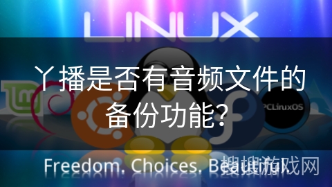 丫播是否有音频文件的备份功能？