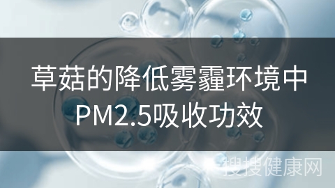 草菇的降低雾霾环境中PM2.5吸收功效