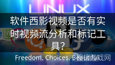 软件西影视频是否有实时视频流分析和标记工具？