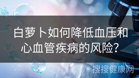 白萝卜如何降低血压和心血管疾病的风险？