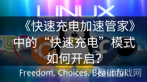 《快速充电加速管家》中的“快速充电”模式如何开启? 《快速充电加速管家》中的“快速充电”模式如何开启?