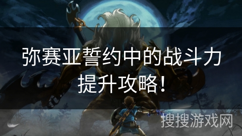 弥赛亚誓约中的战斗力提升攻略！