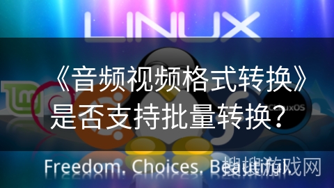 《音频视频格式转换》是否支持批量转换？