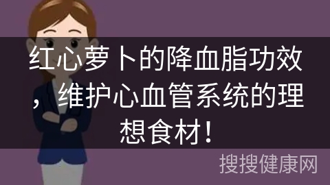 红心萝卜的降血脂功效，维护心血管系统的理想食材！