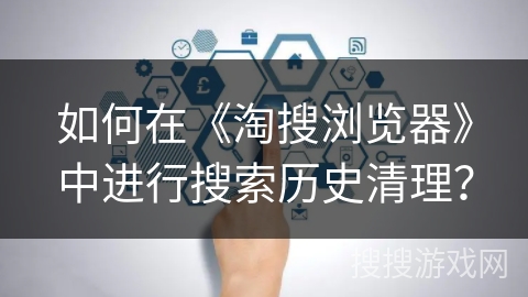 如何在《淘搜浏览器》中进行搜索历史清理？