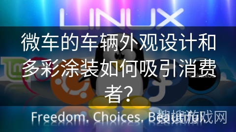 微车的车辆外观设计和多彩涂装如何吸引消费者？