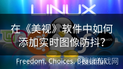 在《美视》软件中如何添加实时图像防抖？