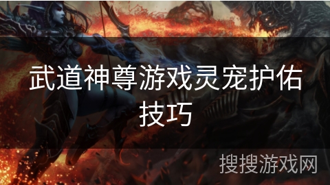 武道神尊游戏灵宠护佑技巧