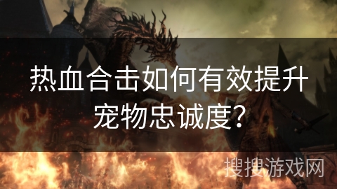 热血合击如何有效提升宠物忠诚度？