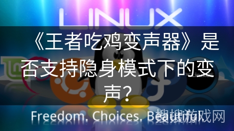 《王者吃鸡变声器》是否支持隐身模式下的变声？