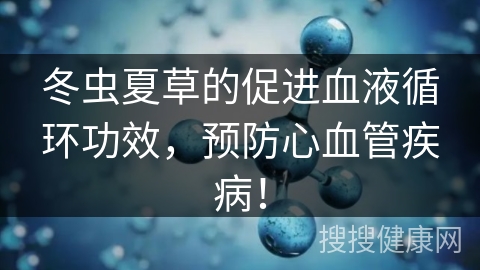 冬虫夏草的促进血液循环功效，预防心血管疾病！