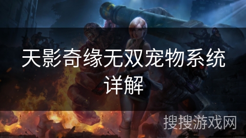 天影奇缘无双宠物系统详解